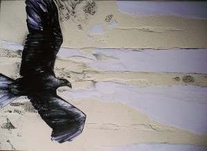 lo sguardo dell'aquila - 2011